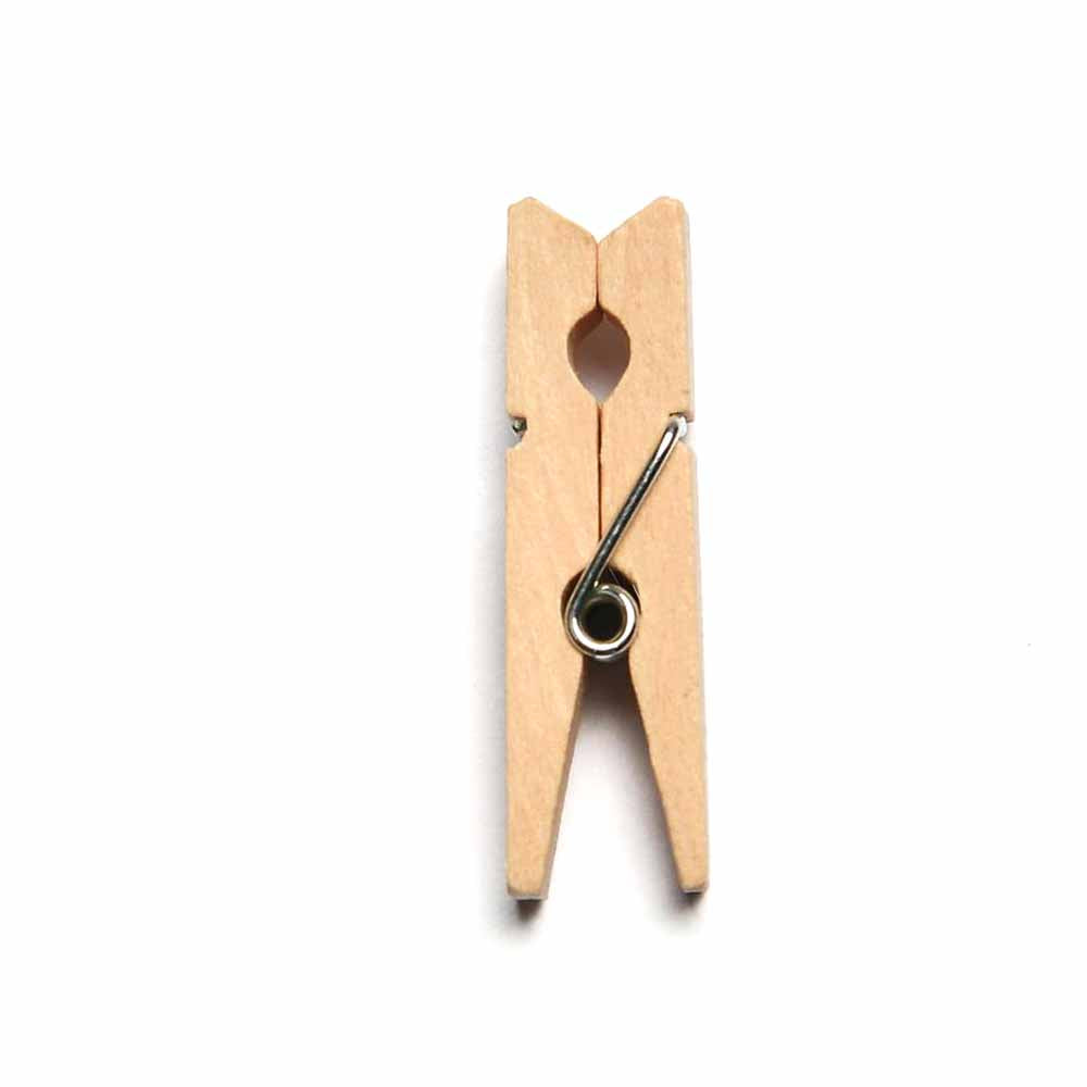 Mini Clothespins - 100 ct
